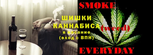 сатива Покачи