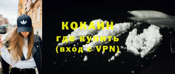 сатива Покачи